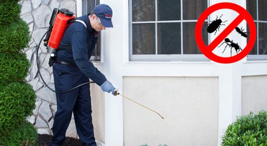 Vezirköprü Tahtakurusu İlaçlama böcek ilaçlama ve haşere kontrolü — ilaclama-tr.com